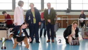 Klub für Terrier, Ortsgruppe Merchweiler – Saarbrücken